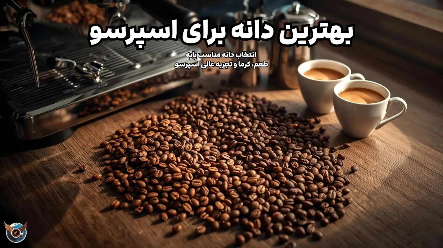 بهترین دانه برای اسپرسو